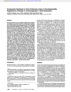 Prostacyclin Synthesis in Ovine Pulmonary Artery Is