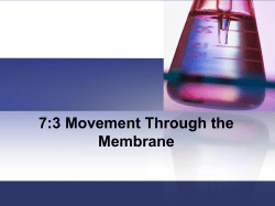 7:3 Movement Through the Membrane