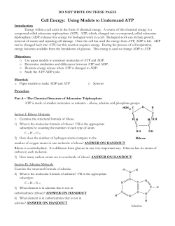 Cell Energy: Using Models to Understand ATP