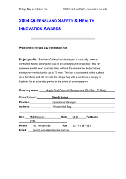 Pedal Fan Innovation Nomination