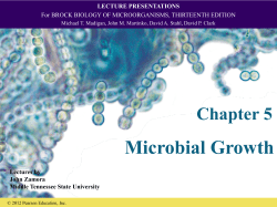 lecture presentations