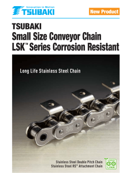 Small Size Conveyor Chain LSK Series Corrosion Resistant