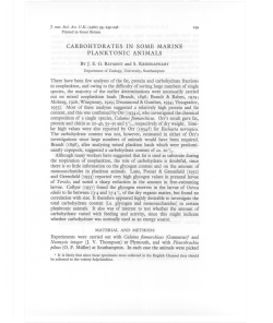 carbohydrates in some marine planktonic animals