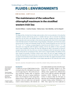 The maintenance of the subsurface chlorophyll maximum in the