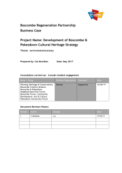 Cultural Heritage Strategy Business Case