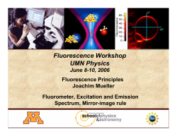 The Fluorescence Excitation Spectrum