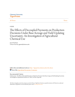 The Effects of Decoupled Payments on Production Decisions Under