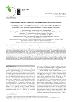 Characterization of Active Compounds of Different Garlic (Allium