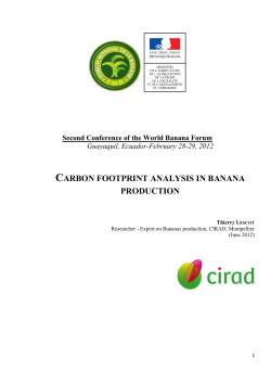 Carbon Footprint Analysis in Banana Production