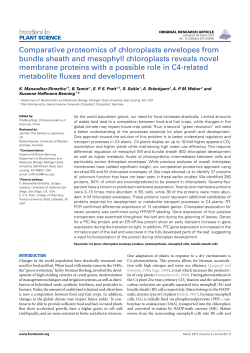 Comparative proteomics of chloroplasts envelopes from
