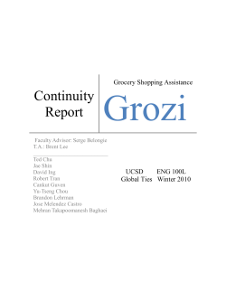 Continuity Report - GroZi Shopping Assistant