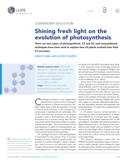 Shining fresh light on the evolution of photosynthesis