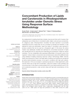 Concomitant Production of Lipids and Carotenoids in