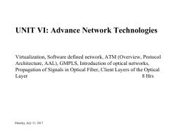 Client Layers of the Optical Layer