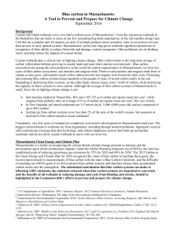 Blue carbon in Massachusetts: A Tool to Prevent and