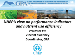 UNEP`s view on performance indicators and nutrient use efficiency
