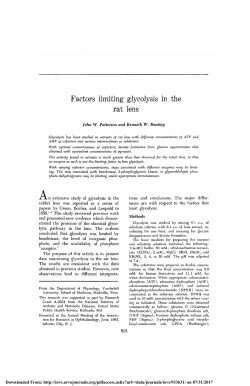 Factors Limiting Glycolysis in the Rat Lens