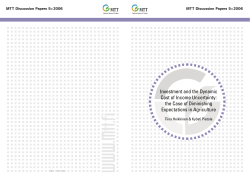 Investment and the Dynamic Cost of Income Uncertainty: the Case of