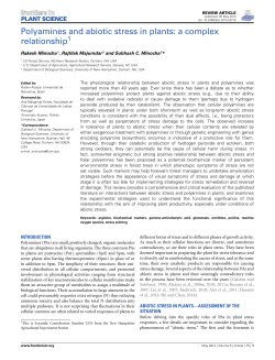 Polyamines and abiotic stress in plants: a complex