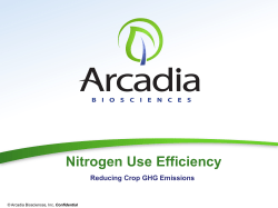 Nitrogen Use Efficiency