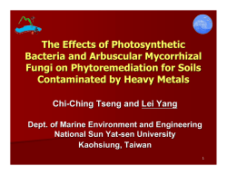 The Effects of Photosynthetic Bacteria and Arbuscular Mycorrhizal