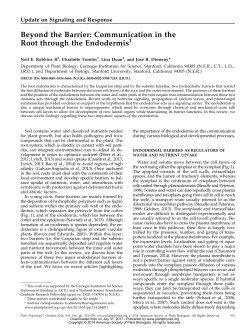 Beyond the Barrier: Communication in the Root