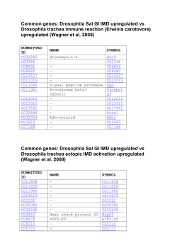 Common genes: Drosophila Sal Gl IMD upregulated vs Drosophila