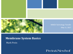 Membrane System Basics