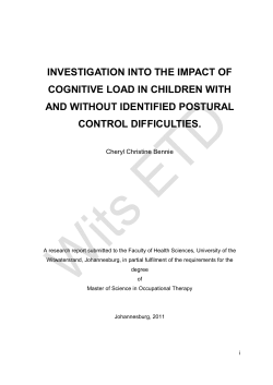 investigation into the impact of cognitive load in