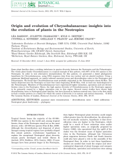 Origin and evolution of Chrysobalanaceae: insights into the