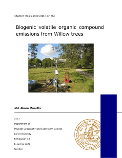 Biogenic volatile organic compound emissions from Willow trees