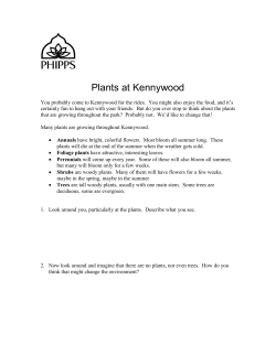 Phipps Plants at Kennywood