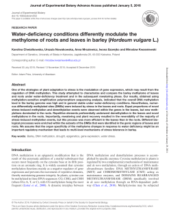 Water-deficiency conditions differently modulate the