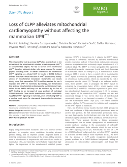Loss of CLPP alleviates mitochondrial cardiomyopathy without