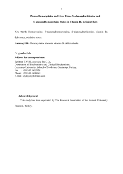 Plasma Homocysteine and Liver Tissue S