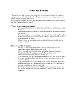 Colors and Patterns teachers packet