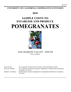 pomegranates