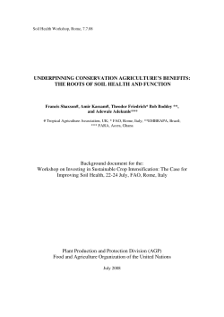 the roots of soil health - Food and Agriculture Organization of the