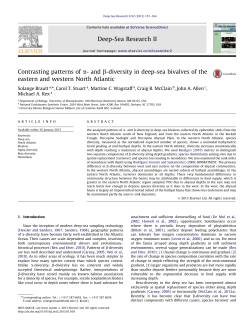 diversity in deep-sea bivalves of the eastern and