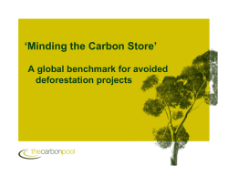 Minding the Carbon Store