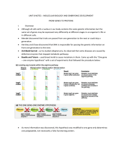 UNIT 8 NOTES &ndash; MOLECULAR BIOLOGY AND EMBRYONIC