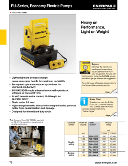 PU-Series, Economy Electric Pumps Heavy on