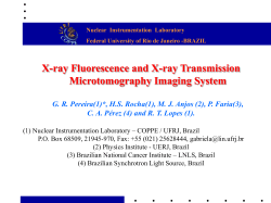 elemental distribution in biological samples using x