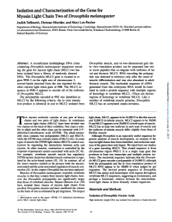 Isolation and Characterization of the Gene for Myosin Light Chain