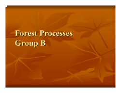 Forest Processes: energy flow, nutrient cycling and litter