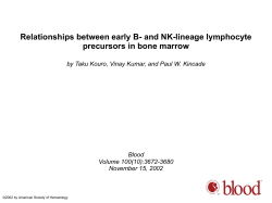 Powerpoint - Blood Journal