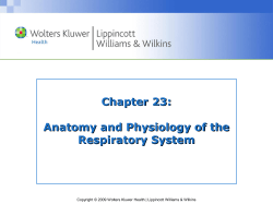 LWW PPT Slide Template Master