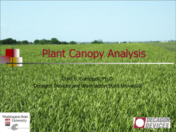 Plant water relations
