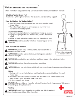 Walker: Standard and Two-Wheeled
