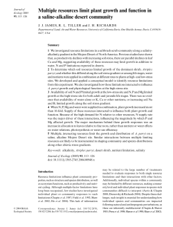 Multiple resources limit plant growth and function in a saline